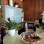 Bureau 01.jpg